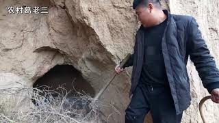 The third child caught the vole and found a cave and saw what he saw.