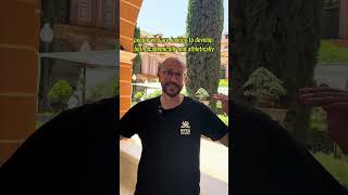 DC Mentor - Project Reflections