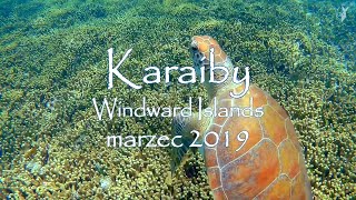 Karaiby 2019 - Windward Islands, cz.2 - nurkowanie (1080p/50fps)