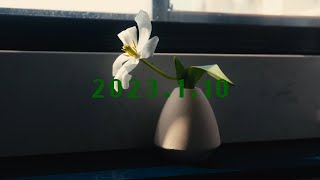 4K | 达芬奇胶片Kodak 2383调色尝试