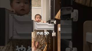 1歳やめろやシリーズ(イスによじ登り冷蔵庫開ける)… #shorts #babygirl #1歳 #子育てあるある #やめろやシリーズ