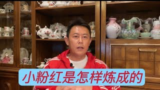 小粉红被韩国退学遣返，祖国会站在她身后么——聊聊战狼出征的真实被锤经历