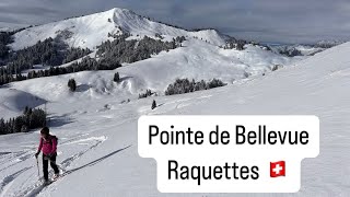 Randonnée en raquettes, Pointe de Bellevue (2042m) en boucle depuis Brasserie 7 Peaks Morgins,Valais