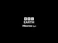 Sequenza BBC Earth Hisense tv+ 15 Novembre 2024