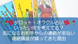 🥀タロット・オラクル占い🥀いったい何を考えてる？気になるお相手からの連絡が来ない、連絡が少なくなった理由と今この瞬間のあなたへの気持ちについて