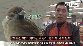 참새때문에 퇴직을 생각하고 있다는 마트 직원ㅋㅋ l Grocery Clerk's Thinking About Quitting Because Of Sparrows