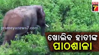 Elephant PathaSala | ଓଡ଼ିଶାରେ ଖୋଲିବ ହାତୀଙ୍କ ପାଠଶାଳା  | PrameyaNews7