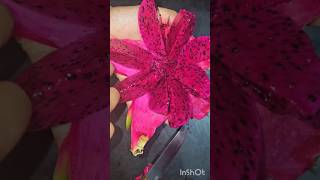 എനിക്ക് ഒരുപാട് ഇഷ്ടം😋😋🥰#dragonfruit #fruits #yummy #cuttingskills #trending #youtubeshorts #shorts