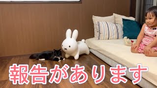 ママからの大切な発表を聞く娘と猫たち　ラガマフィン　Daughter and cat listening to important announcements from mom