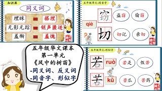 SJKC 华小 I KSSR SEMAKAN 五年级华文课本 单元一 蜕变之旅 I 第二课 《风中的树苗》 知识库 I  同义词、反义词、同音字、形似字 【徐老师课室】