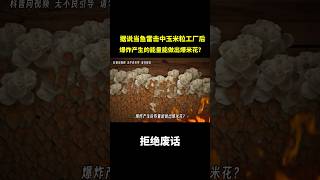 据说当鱼雷击中玉米粒工厂后，爆炸产生的能量能做出爆米花？#冷知识 #涨知识