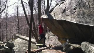 Tiger Style V7 (Scott)