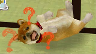 【実況】ペット、飼い始めました　その3 【Nintendogs】