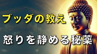 怒りを静める秘薬｜ブッダの教え