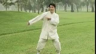 Yin-style Baguazhang Series : 1. Introduction and basic posture