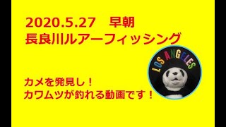 パパ釣りに行く2020～長良川ルアー～Vol 3