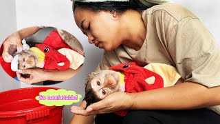 Monkey Lyly relaxes as her mother washes her hair and takes care of her with all her love