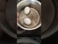 മുട്ട പൊട്ടാതെ വേവിക്കണോ no.1 secret .... boil eggs without breaking