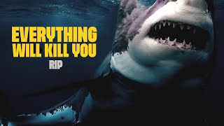 EVERYTHING WILL KILL YOU - RIP (SHARK FILM)