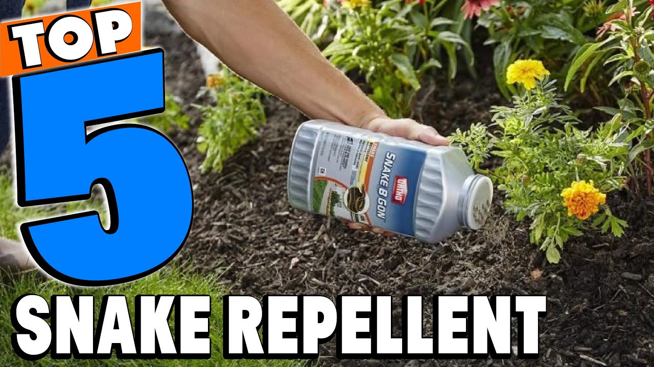 Top 5 Best Snake Repellent Review In 2024 - YouTube