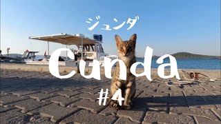 【海外のネコ】シリーズ動画「猫の国 」トルコ・エーゲ海の島ジュンダ島の猫たち #4 /  “Kedi ülkesi” Cunda adası 4.bölüm.