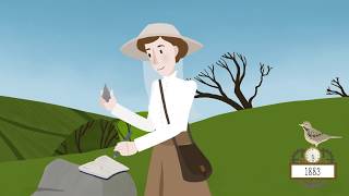 Discover the Dartmoor Story | An animated adventure through time!