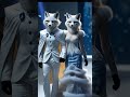 animals couple fashion show runway runwayshow animals animalfashion trendingshorts