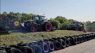 Grasernte 2023 Grassilage walzen zum 1. Schnitt mit ordentlich Fendt, beste Trecker.