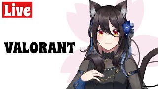 【valorant】デスマ回→ソロコンペ→デュオコンペ