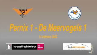 Pernix 1 - de Meervogels 1