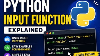 Python input() Function with Real Examples | User input function