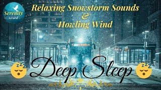 Snow Blizzard Sounds for Sleeping - [Howling Wind in the Street | Snow Blizzard Time Lapse]