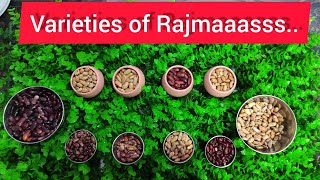 Variety of Rajma, grow in Himachal || Famous Kinnauri Rajma.