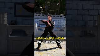 太极发劲，筋骨崩弹，柔中带刚  #taichi #taichiquan #kungfu #wushu #martialarts #taiji #taijiquan #太极 #太極拳 #功夫 #武術 #