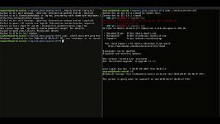 Testing polymorphic shellcode payloads