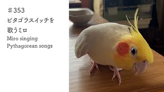 ♯353　ピタゴラスイッチを歌うミロ｜Miro singing Pythagorean songs.