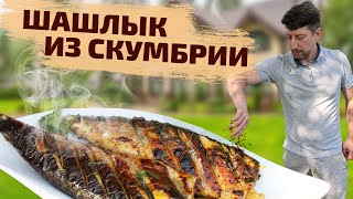 Не думал, что СКУМБРИЯ НА МАНГАЛЕ может быть ТАКАЯ ВКУСНАЯ. Скумбрия на углях. Шашлык из скумбрии.