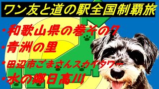 和歌山県の巻その7 びびりワンコと「道の駅」全国制覇達成を目指す旅チャンネル 現在531件達済　 　　①青洲の里②田辺市ごまさんスカイタワー③水の郷日高川龍游、ミニチュアシュナウザー5才の女の子同伴