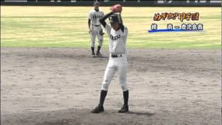 20100721樟南VS鹿児島商業（鹿児島大会準決勝）