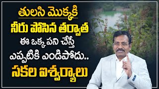 BVSS Reddy : Tulsi Plant Vastu Direction | Vastu Tips For Tulasi Plant | Vastu Stips | M Qube