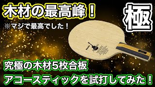 【試打動画】5枚合板の最高峰！アコースティックを試打してみた！