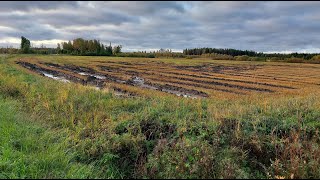 Rengaswebinaarisarja, osa 2, Tiivistymisriskien selvittäminen 19.2.2025