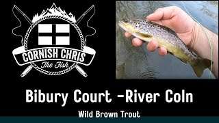 Trout Fly Fishing - River Coln - Bibury Court - April 2022