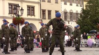 The Conscript Band of Finnish Defence Forces performing at Kromeriz, CZ, September 3. 2017