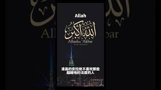 古兰经注释（高处章）#allah #古兰经 #穆罕默德 #islam #kuran #伊斯兰