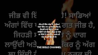 ਪਵਿੱਤਰ ਬਾਈਬਲ (ਯਾਕੂਬ 3:6) 🙏#biblevachan✝️#shortvideo #share#bible   THE BIBLE CHANNEL 👈