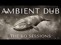 Free Willy | The Deepest Ambient Dub