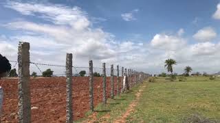 Pavagada 6 acres fenced land with borewell