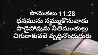 ధనమును నమ్ముకొనువాడు పాడైపోవును నీతిమంతులు చిగురాకువలె వృద్ధినొందుదురు