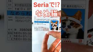 【なめ猫】免許証が今！「Seria」で売ってるだと！？#shorts #昭和 #cat #100均 #猫